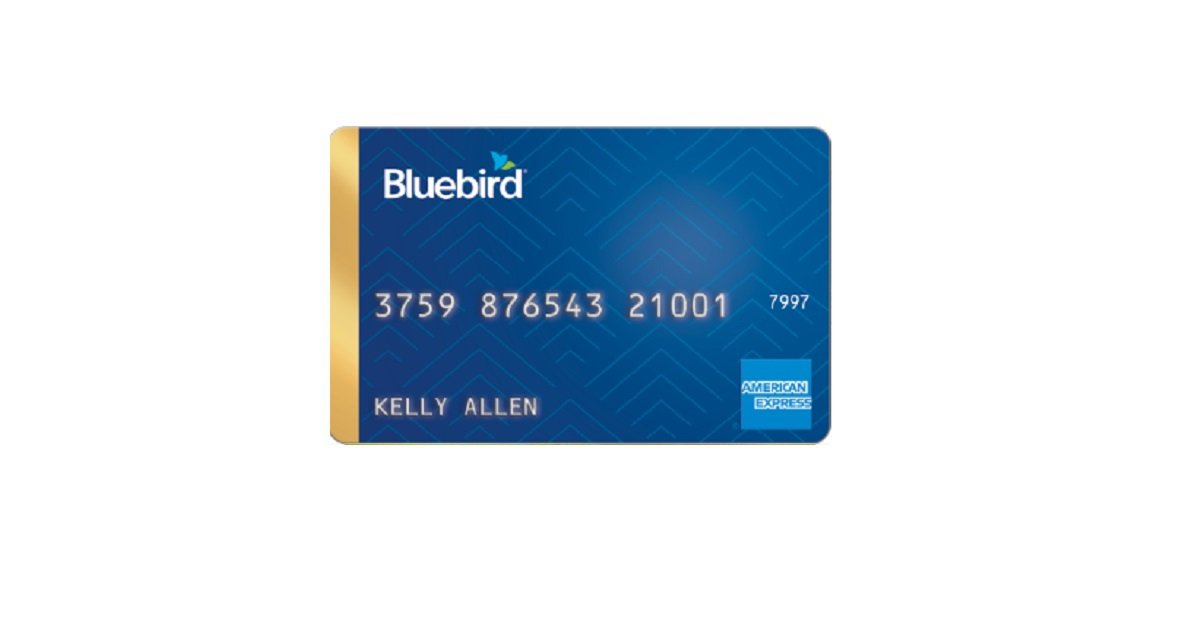 bluebird by american